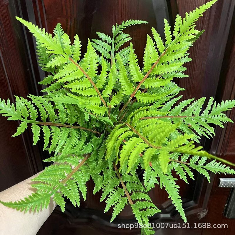 仿真绿植大凤尾蕨带根须塑料软胶蕨叶波斯草热带雨林蕨类植物造景