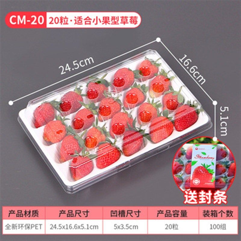 厂家直销草莓盒子透明带托分格打包盒子防摔加厚一次性草莓包装盒