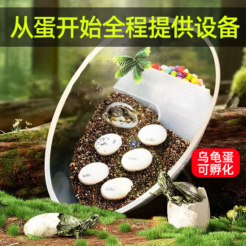 乌龟蛋可孵化成长舱专用缸观察盒男孩女孩科学小实验套.装儿童玩