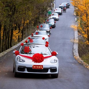 飾車頭大紅花球拉花接親車全套結婚高級車隊頭車花汽車布置 婚車裝