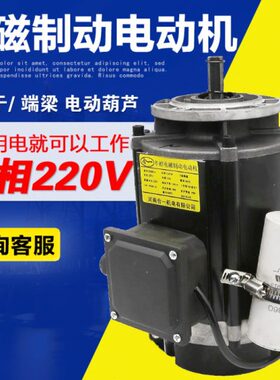 专用端梁电动机Y4软0 V磁SE.4kw0220电机-启8制用电动葫芦动