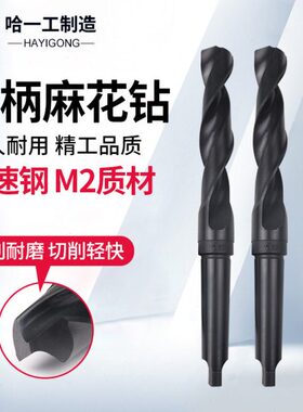 哈 钻床 35钻头36 工哈尔滨哈工3840锥柄麻花钻咀9  一37341电钻