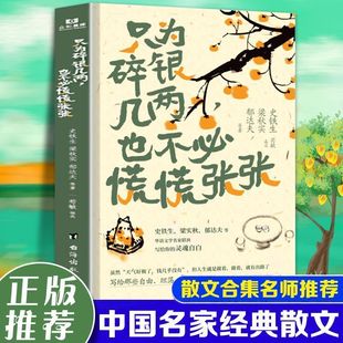 只为碎银几两也不必慌慌张张史铁生梁秋实郁达夫散文集治愈系小说