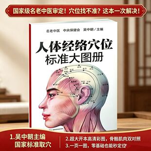 人体经络穴位标准大图册超清晰版大开本名老中医零基础也能秒定位