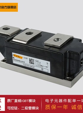 供应 功率可控硅模块 DT104N12KOF  DT104N14KOF  DT106N12KOF
