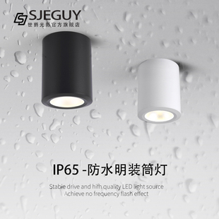 筒灯户外室外阳台店铺门头酒店雨棚Q露台吸顶射灯IP65 led防水明装