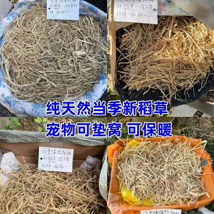 稻草干草垫料兔子过冬草狗窝鸡宠物垫窝天然干稻草秸秆禾杆草保暖