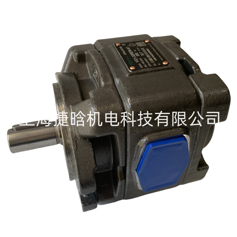 ALBERT内啮合齿轮泵 VG1-25REW-A1 折弯机油泵 VG1-40REW-A1