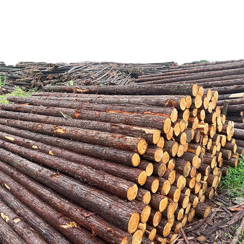 供应杉木杆原木树木木屋面板绿化异形檩条防护架杆杉木桩