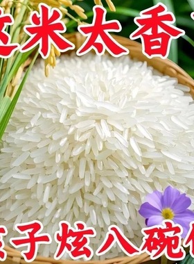 5斤正宗猫牙米长粒香米晚稻新米丝苗米煲仔蛋炒饭超长2.5KG大米