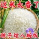 5斤正宗猫牙米长粒香米晚稻新米丝苗米煲仔蛋炒饭超长2.5KG大米
