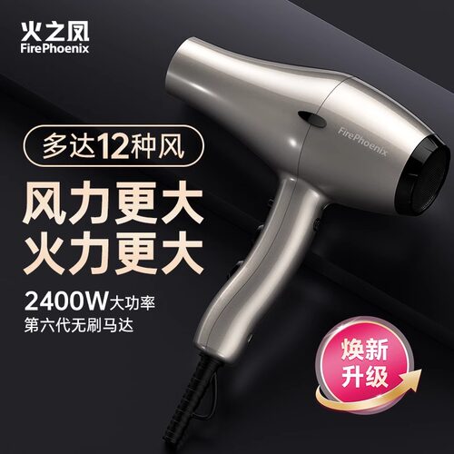 火之凤吹风机理发店专用发廊发型师家用大功率男士速干风筒6600X