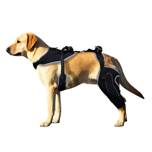 热卖狗狗护膝撕裂的 ACL/CCL 后腿发育不良关节缓解疼痛护具绑带