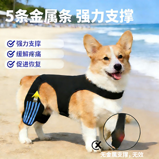 狗狗护膝适用于柯基犬ACL十字韧带损伤髌骨脱位或骨关节炎后双腿