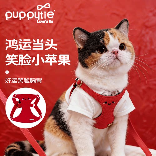 puppytie宠物胸背带遛猫绳