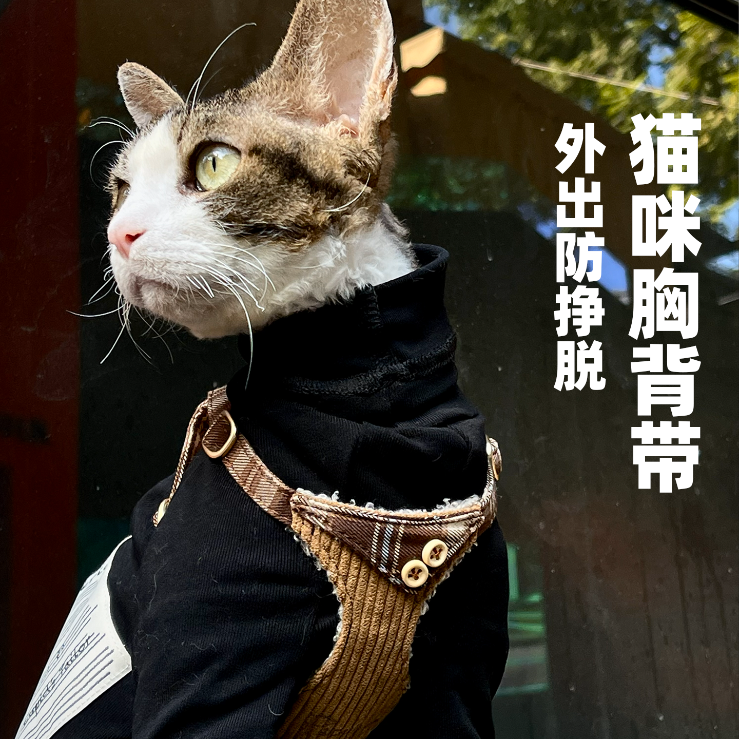 puppytie猫牵引绳背心式