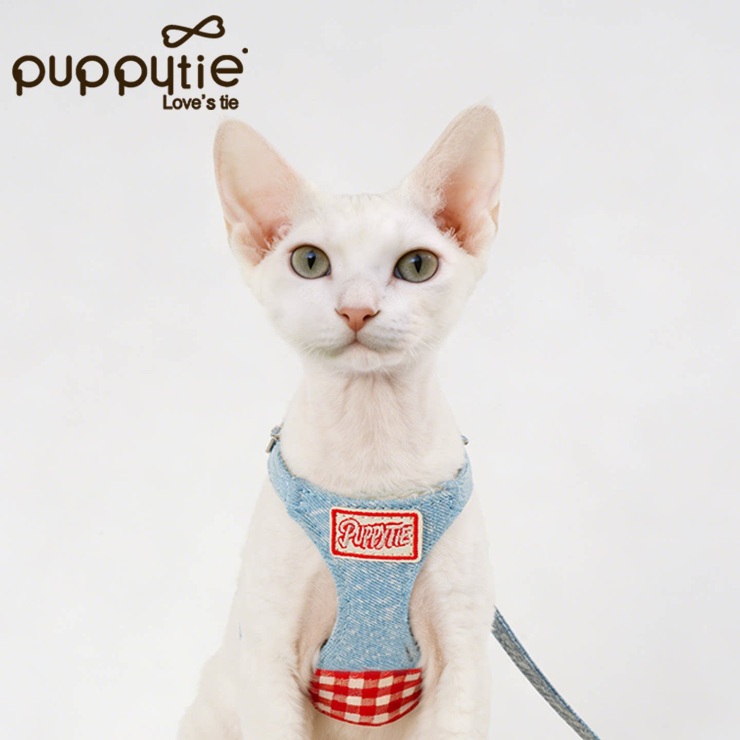 puppytie猫咪胸背带背心式图片