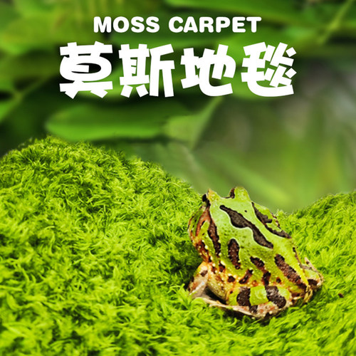 爬宠莫斯地毯垫料雨林造景保湿垫