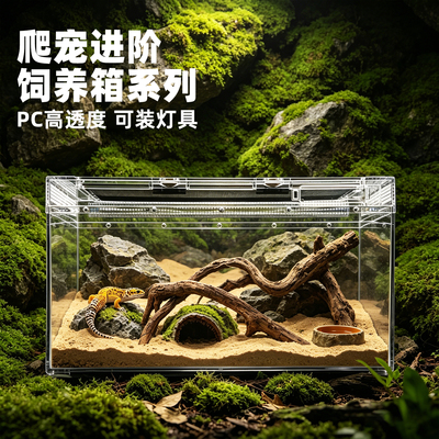 生态爬宠饲养箱养殖缸可叠层带灯