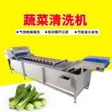 商用蔬菜清洗机全自动气泡清洗设备不锈钢果蔬分选机