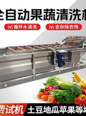 果蔬气泡清洗机蔬菜青菜洗菜机黄桃大葱酸菜辣椒娃娃菜清洗流水线