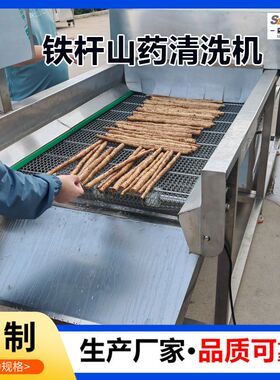 山药不伤皮清洗机果蔬高压喷淋清洗机生姜清洗机去泥怀莲藕清洗机