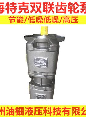 SUNNY齿轮泵双联泵系列HG10-40-8-01R-VPC压机伺服电机