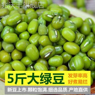 大粒绿豆新货农家绿豆去皮脱皮绿豆糕饼绿豆汤材料新鲜豆芽笨绿豆