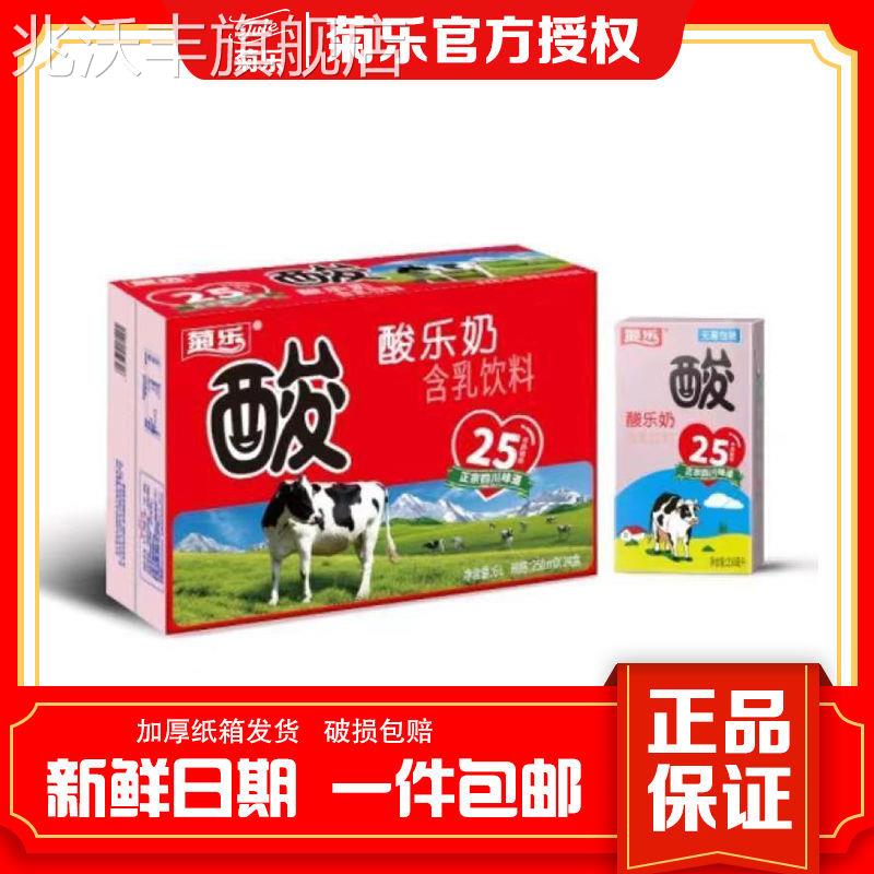 新货菊乐酸牛奶整箱特价250mlx16/12盒装学生牛奶酸奶原味一整箱