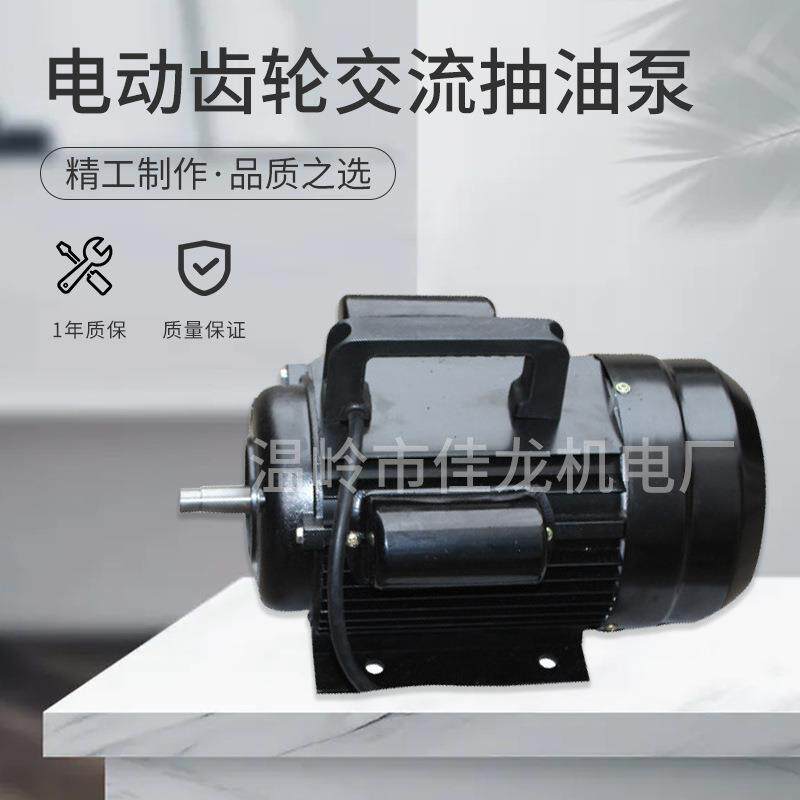 离心泵机油铝合金电动齿轮交流抽油泵WCB75750W厂家直供