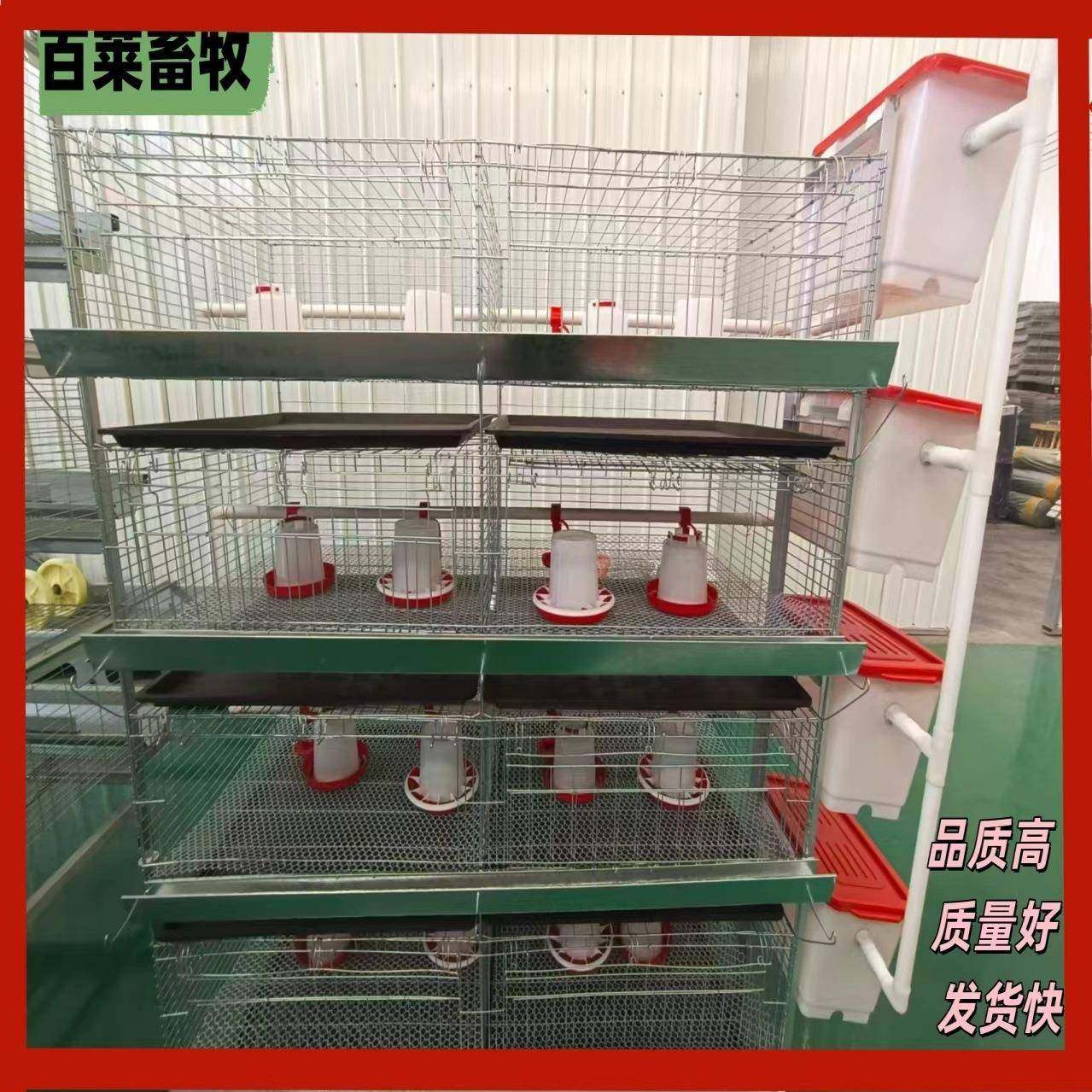 镀锌丝小鸡笼，加密加粗，防锈耐用，为小鸡提供安全防护配件全,畜牧/养殖物资,特种养殖设备,淘宝优惠券,粉丝福利购,淘宝优惠卷