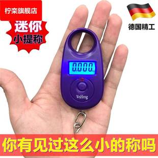 德国称鱼器手持手拿手提电子秤勾称便携式 小型买菜高精准家用迷你