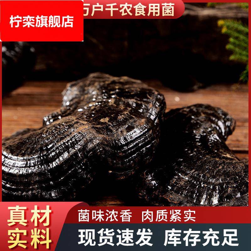 山东 现货黑灵芝小灵芝 打粉煲汤酒店送礼滋补干货