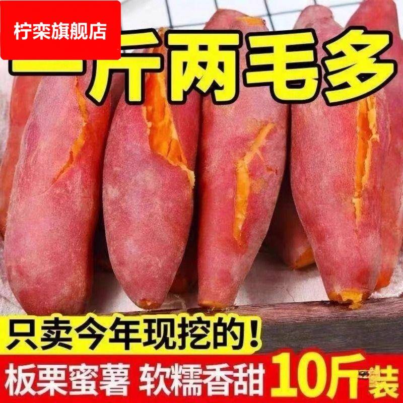 25年蜜薯糖心红薯新鲜广西番薯25号番薯沙地黄心农科院烤地瓜9斤