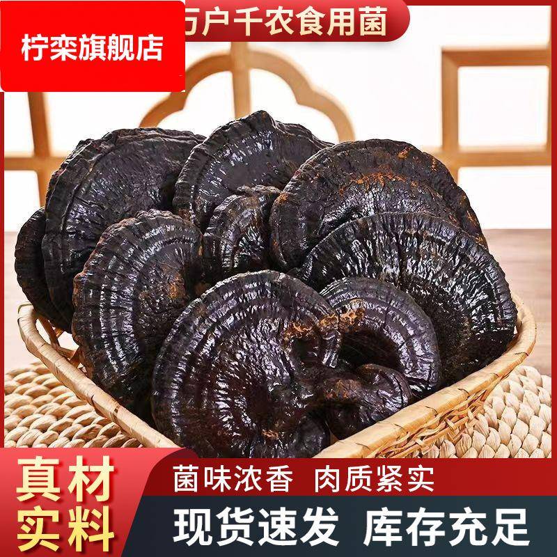 灵芝山东纯黑灵芝泡酒紫林芝整枝可煲汤切片茶