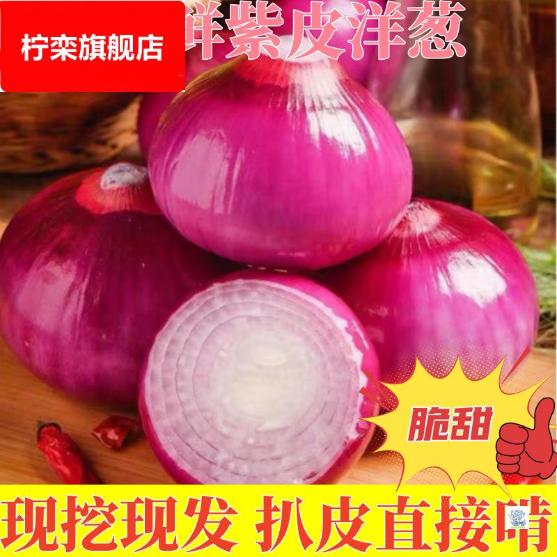 水果洋葱甜味生吃新鲜紫皮洋葱9斤洋葱头小圆葱毛葱红洋葱