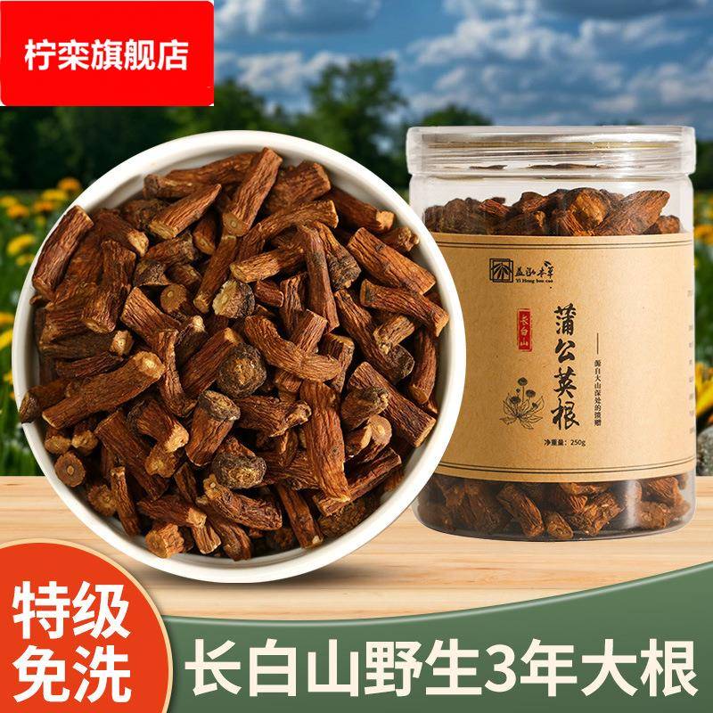 蒲公英茶炒熟纯根茶长白山蒲公英散结茶500婆婆丁茶泡水中