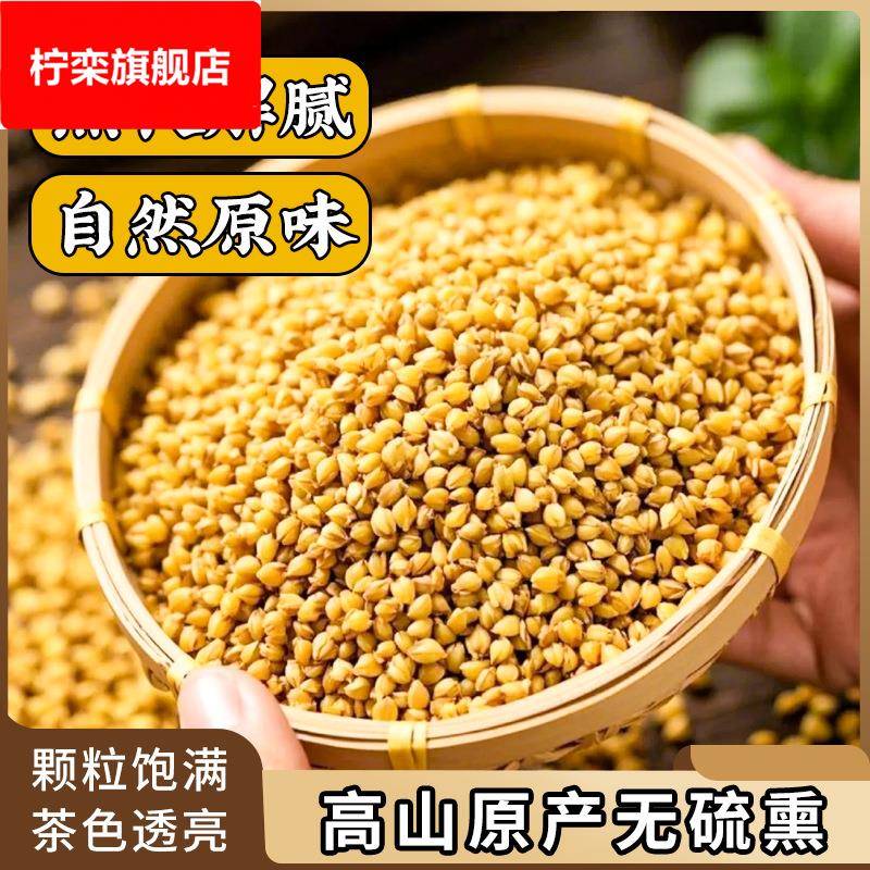 黄苦荞麦罐装全株饭店全胚芽大粒养生茶荞麦茶茶叶无糖荞麦茶