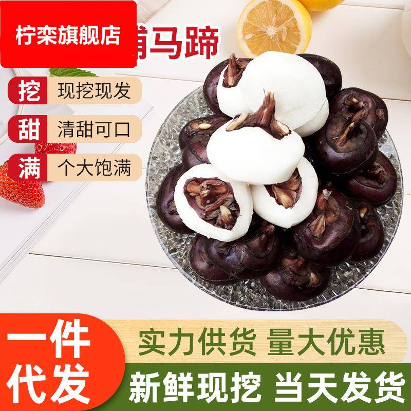广西荔浦新鲜马蹄荸荠水果蔬菜鲜甜多汁马蹄农家现挖