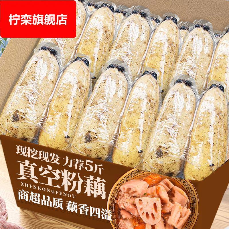 新鲜洪湖粉藕真空包装农家新鲜现挖煲汤粉糯炖汤九孔糯米藕莲藕