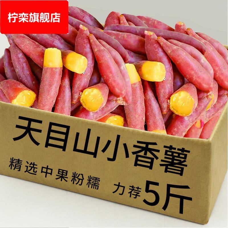 临安天目山小香薯甜黄心板栗红薯新鲜地瓜粗粮番薯山芋