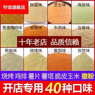 炸土豆片调料薯片撒粉苦荞洋芋片锅巴脆皮玉米薯塔烧烤鸡排外撒粉