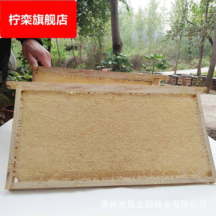 蜂巢蜜5斤装 土蜂蜜成熟封盖蜜 蜂巢蜜土特产 整箱全封盖蜂巢蜜