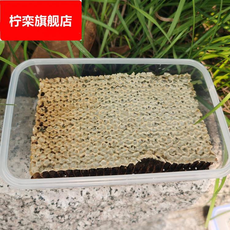 老巢蜜 百花蜜盒装500g荆条蜂蜜 农家蜂场直供土蜂蜜
