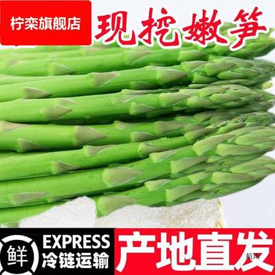 芦笋新鲜产地直销现挖5斤嫩青笋绿鲜芦笋嫩当季蔬菜包邮卢笋3现挖