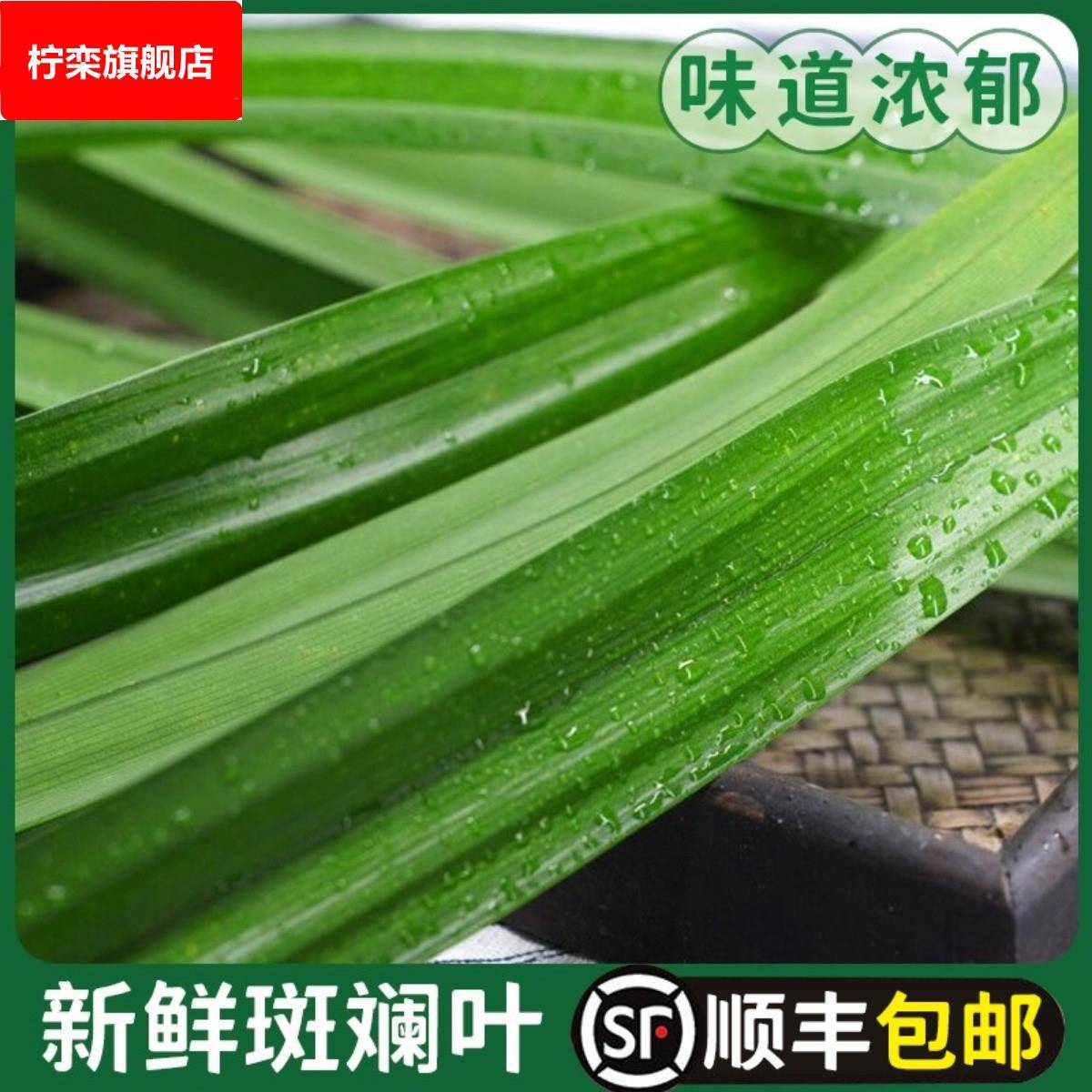 斑斓叶新鲜食用香兰叶班兰叶商用500g蛋糕烘焙甜品千层芒果糯米饭
