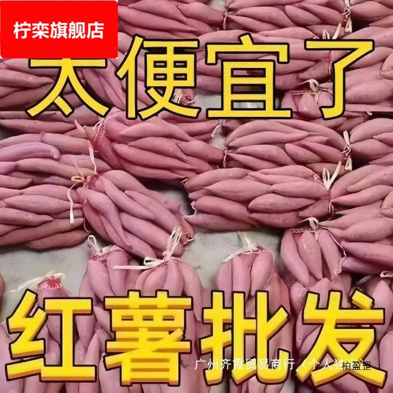 蜜薯新鲜红薯10斤农家香甜薯板栗黄红心烤地瓜糖心小番薯山芋1