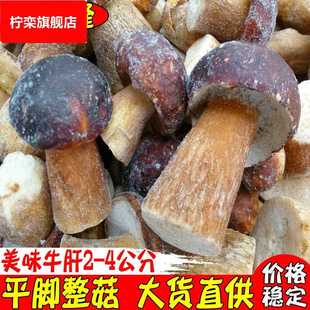 4公分 平脚整菇2 酒店美味牛肝菌冻品 美味牛肝菌