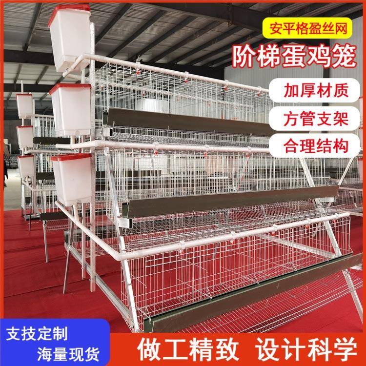蛋鸡笼鸡笼热镀锌三层四层叠式白绿食槽可选养殖自动化鸡舍