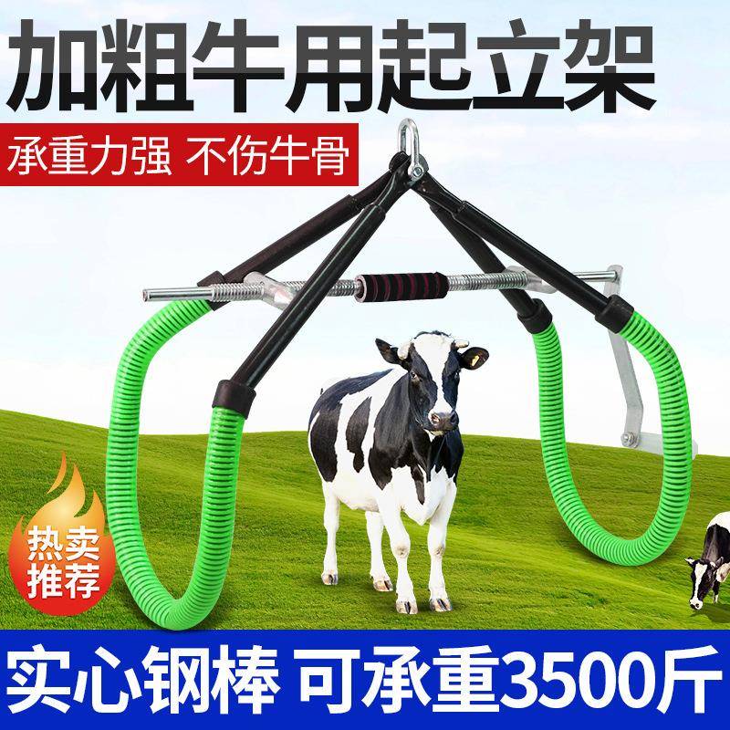 牛用起立架小牛站立学步架犊牛康复辅助站立器提牛架牛用站立工具